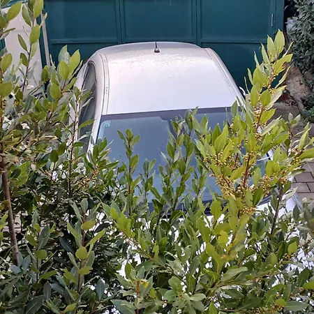 Apartmán Maestral *