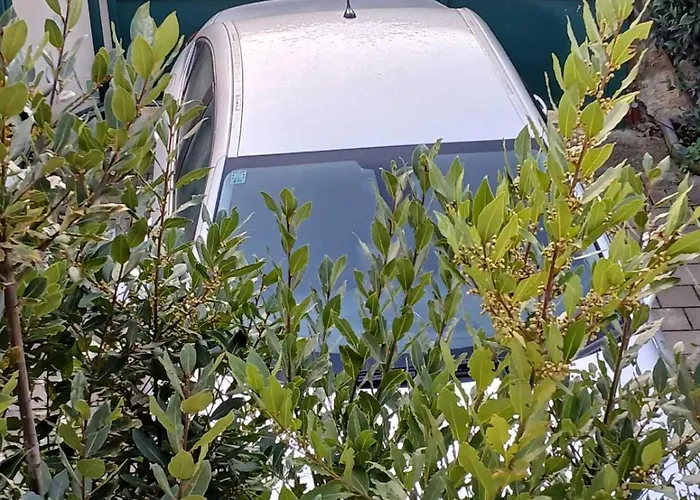 アパート Maestral *