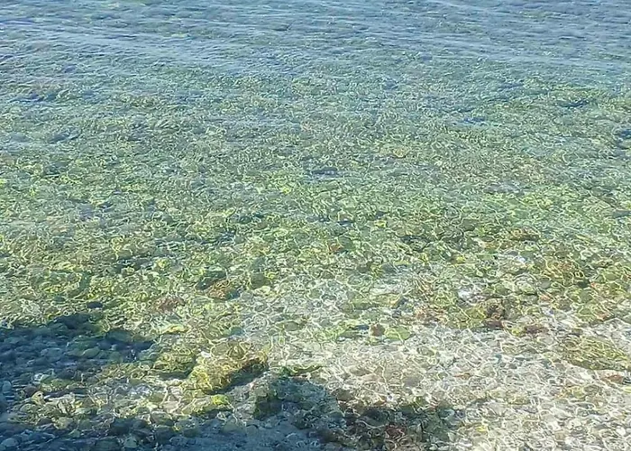 Maestral アパート